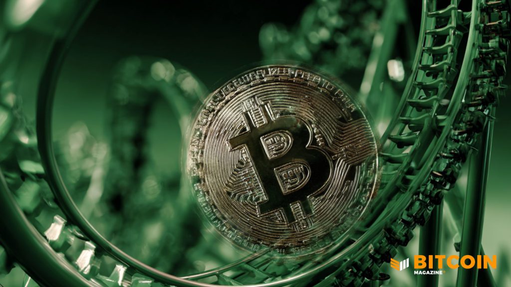 Bitcoin Price Briefly Pumps Above $89,000