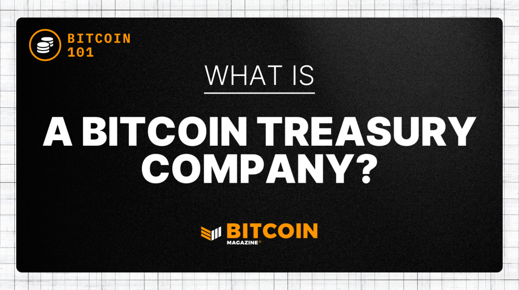 What Is A Bitcoin Treasury Company?